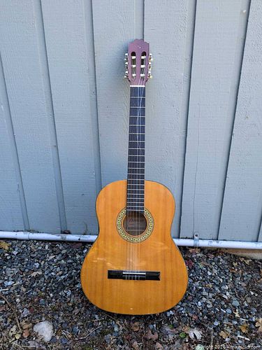 Denver DC44N Classical Nylon-String Acoustic Guitar (Full-Size) (1 of 5)