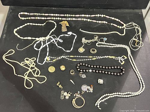 Costume jewelry lot: necklaces, bracelets, earrings, brooches (1 of 5)