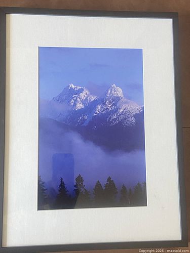 Lot #4 (1 of 2)