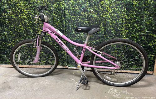 Specialized 19in Hybrid/Comfort Girls Bike, 22-23in Wheels, Pink (1 of 10)