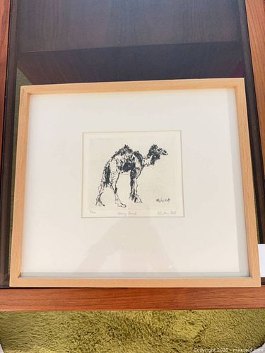 Alistair Bell 1989 "Young Camel" Limited Edition Etching A (1 of 7)