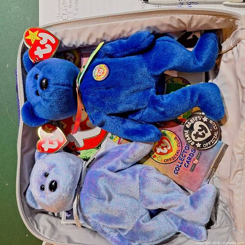 TY Beanie Baby Offical Club set (1 of 3)