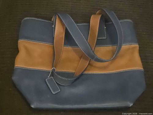 Coach bag (1 of 10)