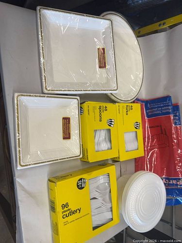 Disposable Party Tableware Set — Plates, Cups, Cutlery, Trays (1 of 5)