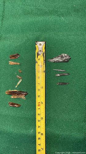 Lot #34 (1 of 9)