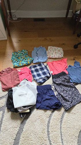 Women's Clothing Lot - Tops, Shorts, Skirt, Padded Cycling Shorts and More B (1 of 14)