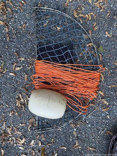 Lot #79 (1 of 1)