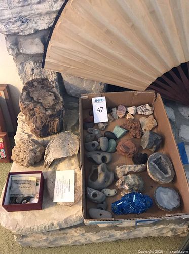 Lot #47 (1 of 8)