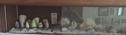 Lot #33 (1 of 5)
