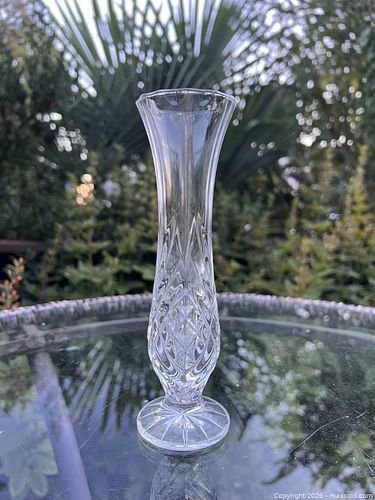 Lot #25 (1 of 6)