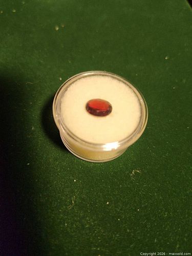 Lot #24 (1 of 6)