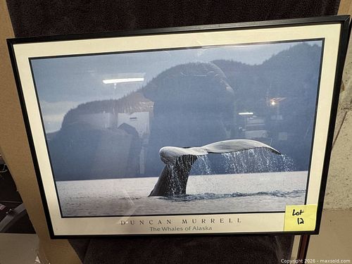 Lot #12 (1 of 5)