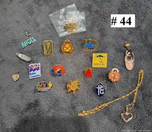 Collectable pins (1 of 1)