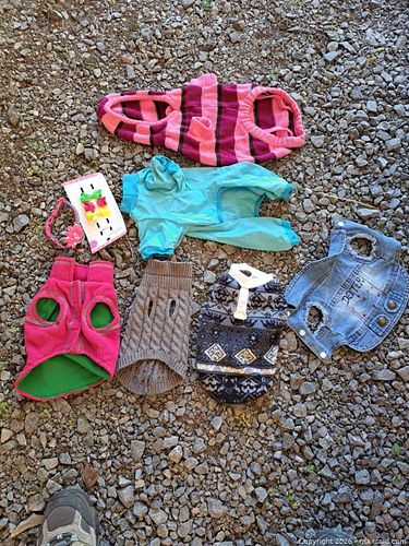 Pet clothing (1 of 2)