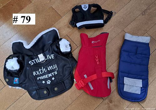 Pet clothing  (1 of 2)