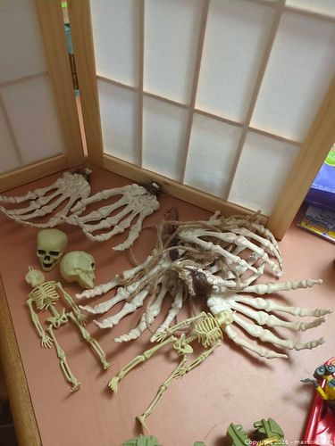 Plastic Halloween Skeleton Hands, Arms, Skulls & Mini Figures (1 of 4)