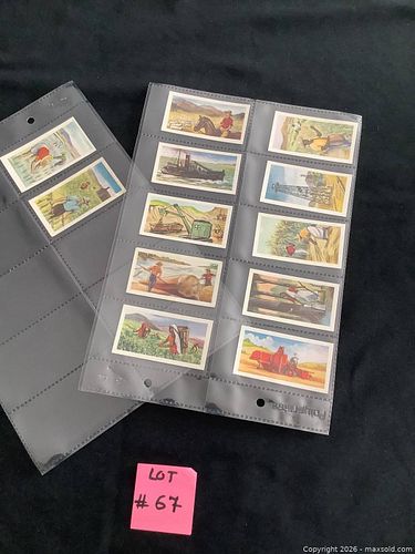 Lot #67 (1 of 5)