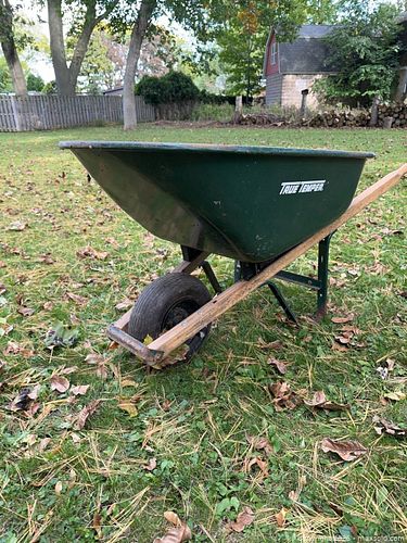 Lot #46 (1 of 6)