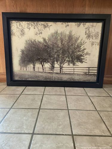 Lot #10 (1 of 3)