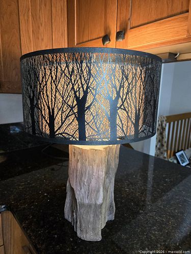 Lot #60 (1 of 4)