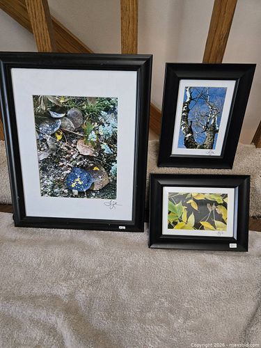 Lot #5 (1 of 5)