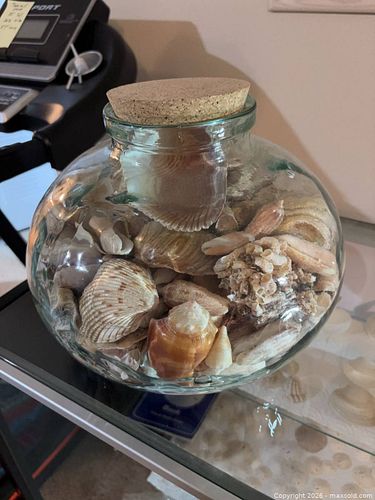 Decorative Glass Jar Filled with Assorted Seashells (1 of 6)