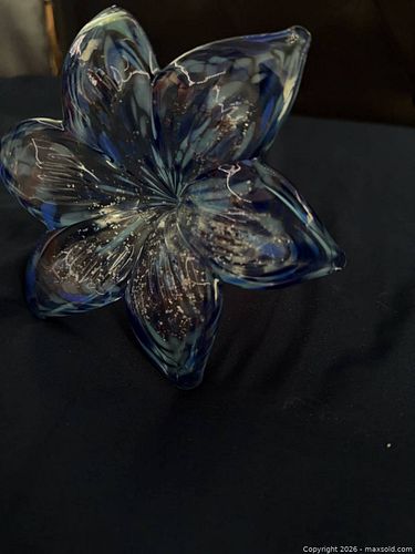 Lot #27 (1 of 12)