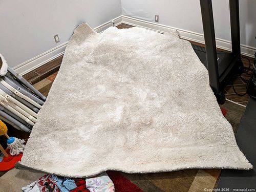 White Shag Carpet, 9 ft x 6.5 ft (1 of 4)