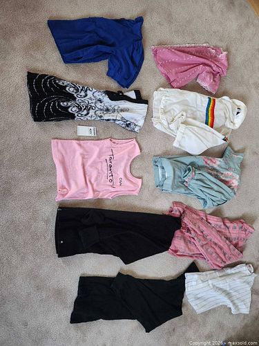 Women's Assorted Clothing Lot, Large (10+), Mixed Sizes (1 of 15)