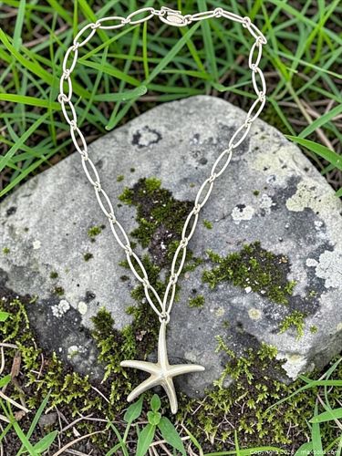 Tiffany & Co. Sterling Silver Elsa Peretti Starfish Pendant Necklace - 16" (1 of 6)