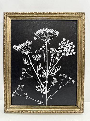 Lot #12 (1 of 6)