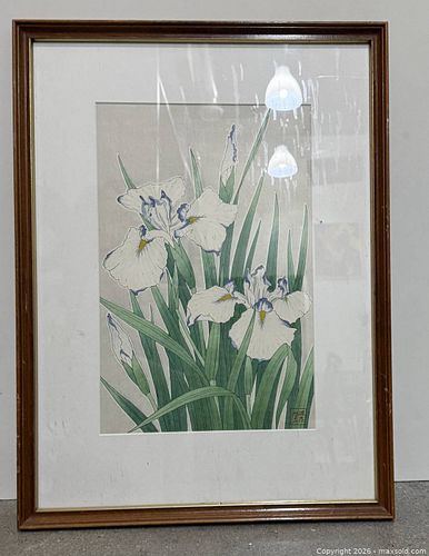 Lot #46 (1 of 6)