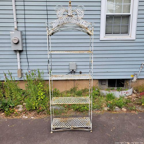 Lot #43 (1 of 5)