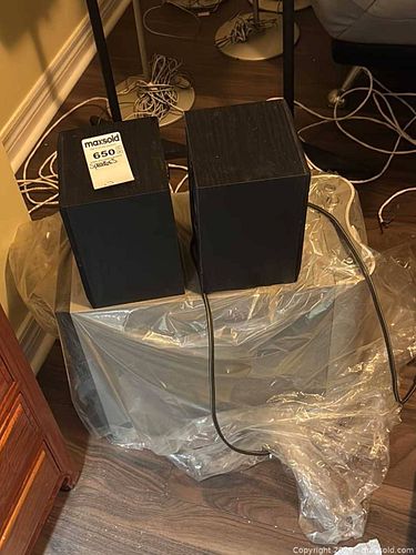 Sony 2.1 Powered Subwoofer with Satellite Speakers B (1 of 7)