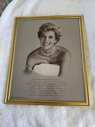 Princess Dianna tribute - rare (1 of 3)