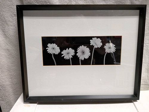 Metal framed print (1 of 3)