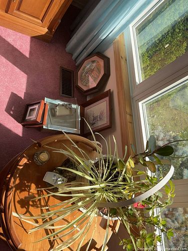 Frames, plates and plant  (1 of 13)