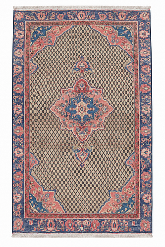 Beautiful Persian Area Rug  (1 of 6)