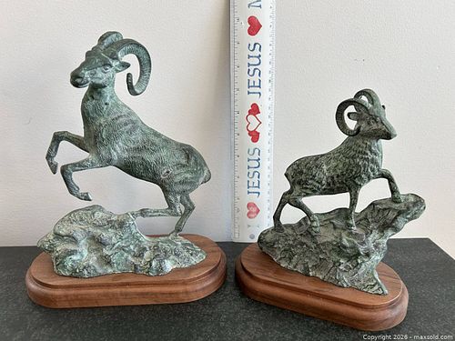 Vintage Bighorn Sheep Duo  (1 of 5)