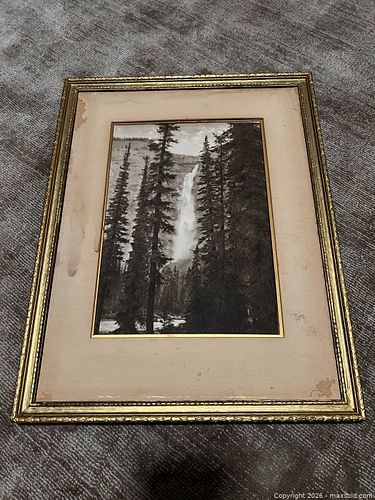 Lot #75 (1 of 6)