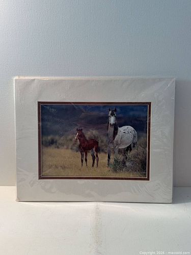 Limited Edition Horses Photograph Print, Matted, Approx. 11x14 (1 of 3)