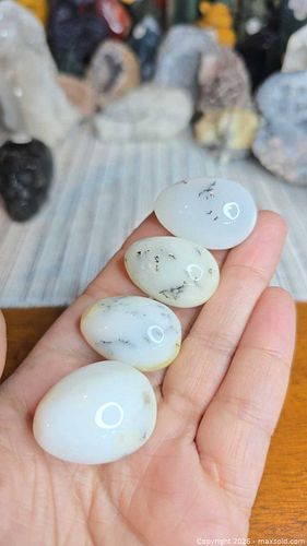 Dendritic Agate & Opal Tumbled Stones, 4 Oval 10–20 mm (1 of 6)