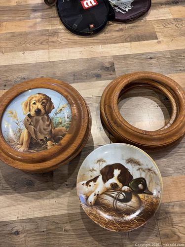 Doggie Collector Plates  B (1 of 20)