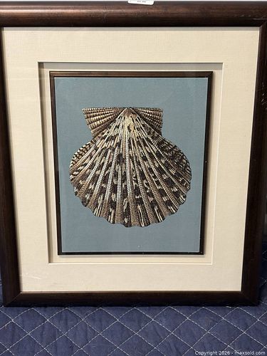 Framed Seashell Print in Dark Stained Wood Frame (1 of 3)