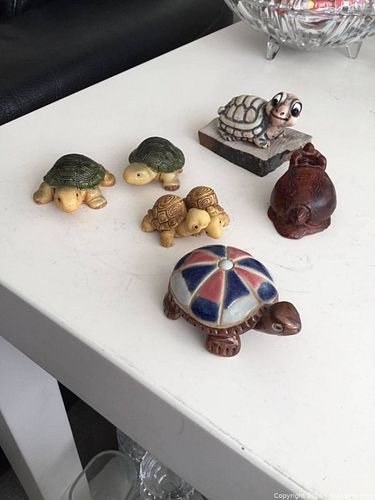 6 collectible turtles (1 of 6)