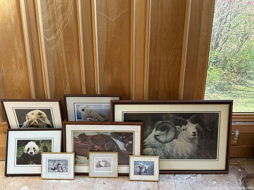 Eight Photographs of Animals (1 of 3)