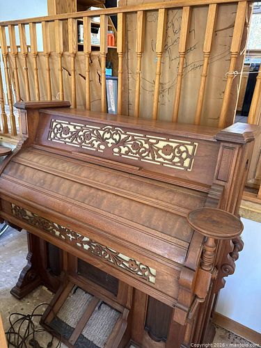 Organ  (1 of 3)