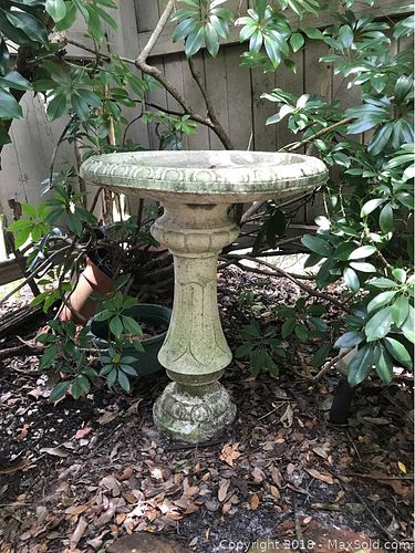 Lot #0257 (1 of 6)