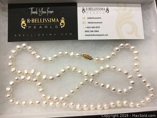 Lot #0063 (1 of 3)