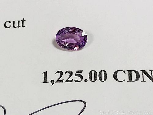 Lot #0938 (1 of 10)